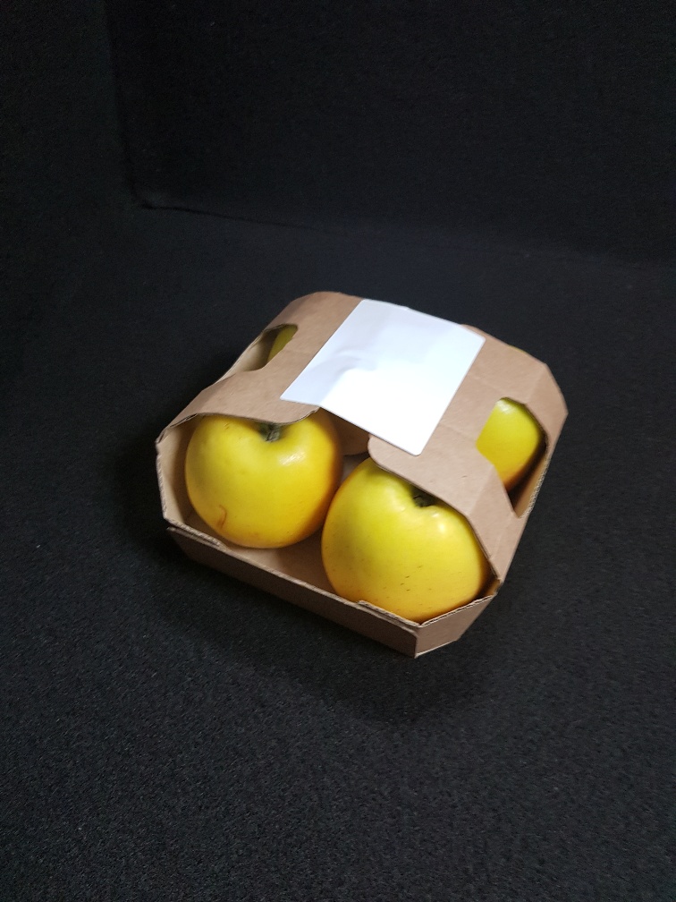 Barquette carton pomme